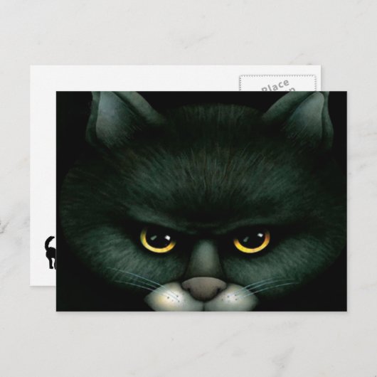 Chat noir - Carte postale (Devant / Derrière)