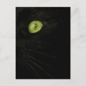 Chat noir, carte postale de l'oeil vert (Devant)
