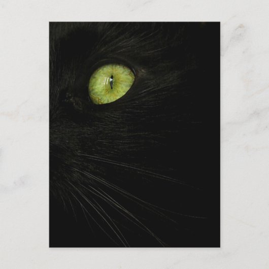 Chat noir, carte postale de l'oeil vert (Devant)