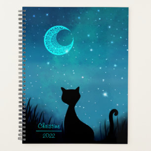 chat noir ciel étoilé nom et année