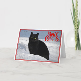 Chat noir dans la carte de Noël Neige