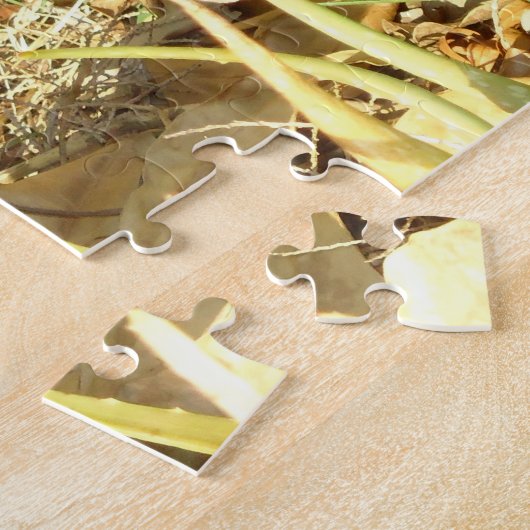 Chat noir dans le puzzle de Sun de matin (Côté)