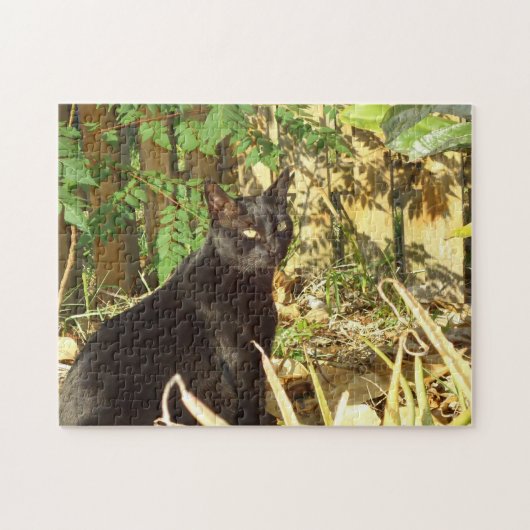 Chat noir dans le puzzle de Sun de matin (Horizontal)