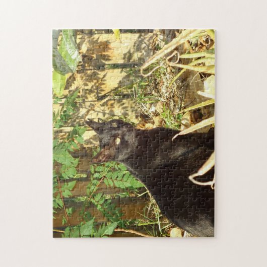 Chat noir dans le puzzle de Sun de matin (Vertical)