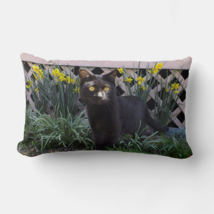 Chat Noir Dans Les Daffodiles Jeter Oreiller