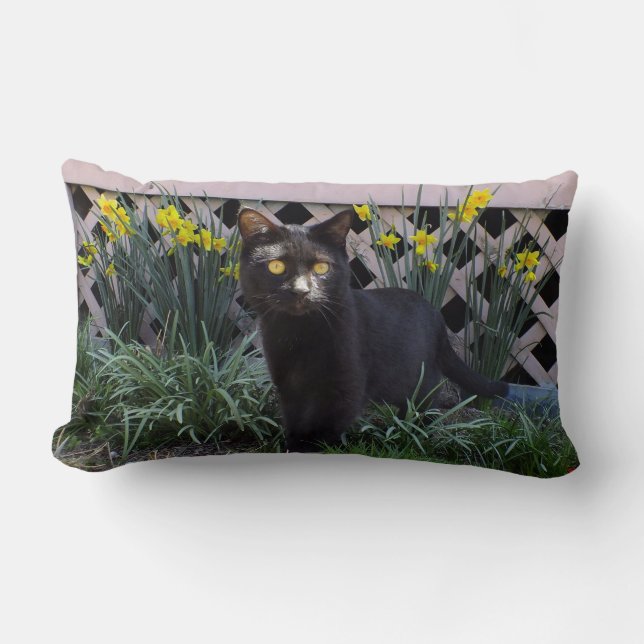 Chat Noir Dans Les Daffodiles Jeter Oreiller (Recto)