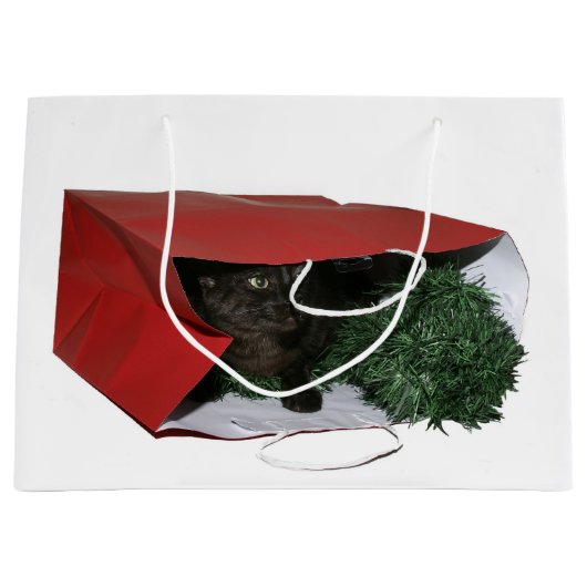 Chat noir dans Noël de sac de cadeau (Devant)