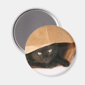 Chat noir dans un aimant de sac (Recto/Verso)
