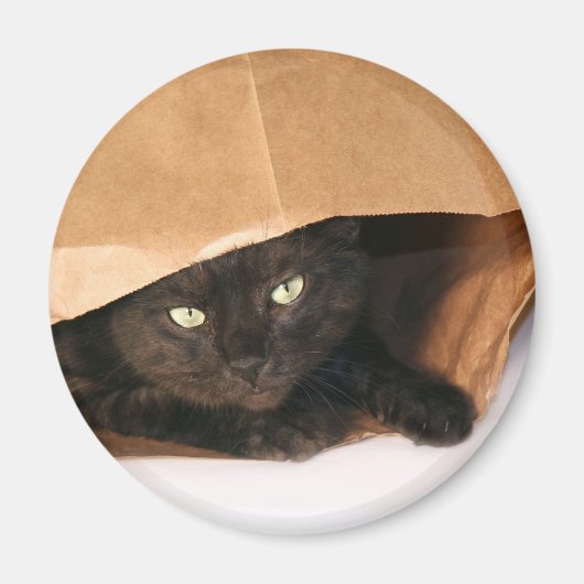 Chat noir dans un aimant de sac (Devant)