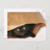 Chat noir dans un sac carte postale (Devant / Derrière)