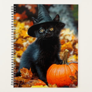 Chat noir d'Halloween et Citrouille