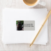 Chat noir en attente de Étiquettes de adresse (En situation)