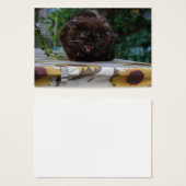 Chat noir en colère (Devant & derrière)