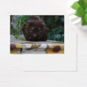 Chat noir en colère (Bureau)