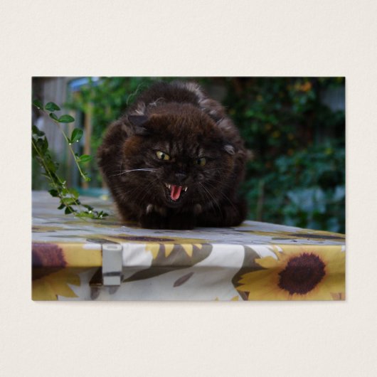 Chat noir en colère (Devant)
