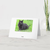 Chat noir en herbe Carte d'anniversaire (Dos)