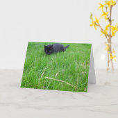 Chat noir en herbe Carte d'anniversaire (Fleur jaune)