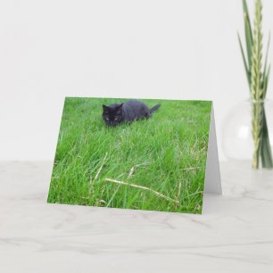 Chat noir en herbe Carte d'anniversaire