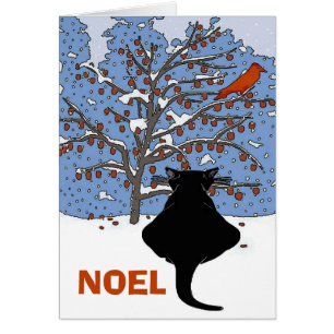 Chat noir en neige, Noel, Oiseau rouge