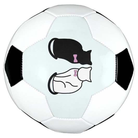 Chat noir et blanc (Tourné)