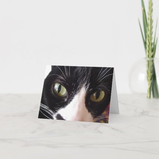 Chat noir et blanc avec carte de note aux yeux ver (Devant)