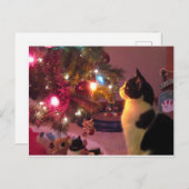 Chat noir et blanc avec carte postale Arbre de Noë (Devant / Derrière)