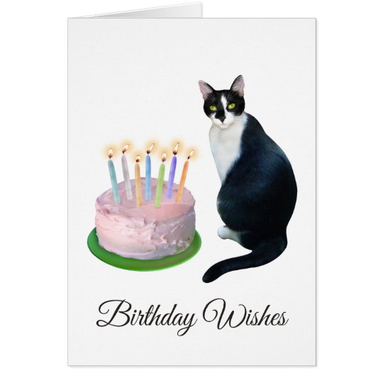 Chat Noir Et Blanc Avec La Carte D Anniversaire De Zazzle Be