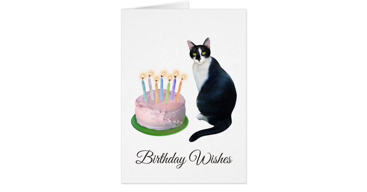 Chat Noir Et Blanc Avec La Carte D Anniversaire De Zazzle Be Chat Noir Et Blanc Avec La Carte D Anniversaire De Zazzle Be