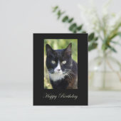 Chat noir et blanc, Carte postale Joyeuse Annivers (Debout devant)
