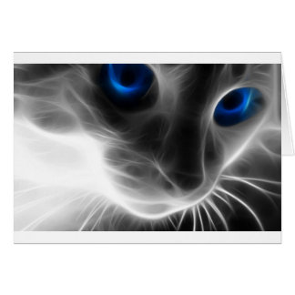 Chat noir et blanc de Kitty observé par bleu