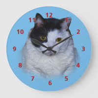 Chat noir et blanc, horloge personnalisable