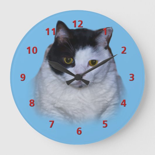 Chat noir et blanc, horloge personnalisable (Recto)