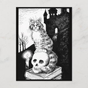 chat noir et blanc Maine Coon Halloween carte post
