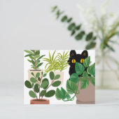 Chat noir et carte postale Plante (Debout devant)