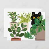 Chat noir et carte postale Plante (Devant / Derrière)