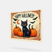 Chat noir Halloween (Angle)