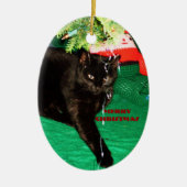 CHAT NOIR, JEUNE ORNEMENT DE NOËL (Devant)