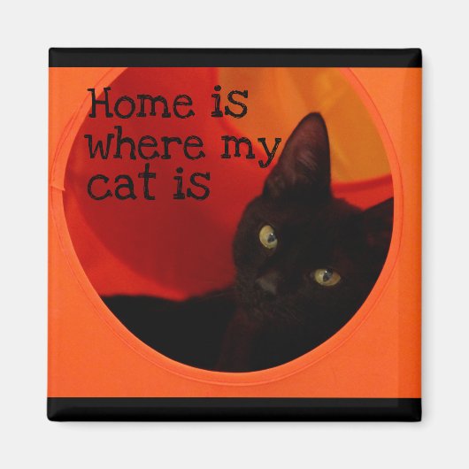 Chat noir lisse avec Aimant Réfrigérateur aux yeux (Devant)