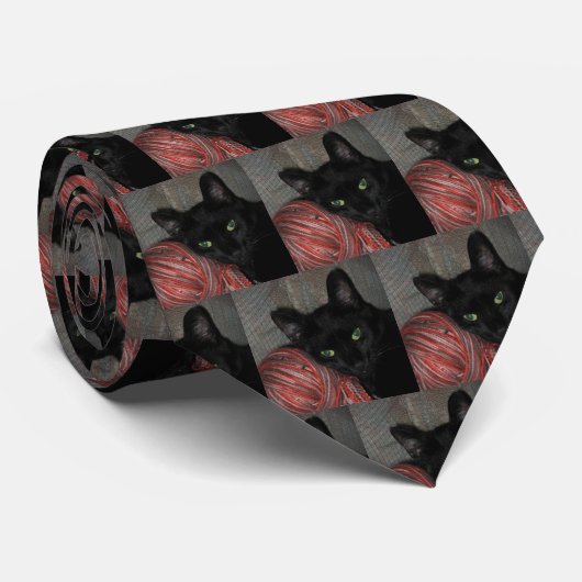 Chat noir Lucky Cravate d'Halloween (Roulé)