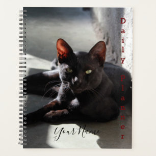 Chat noir - planificateur quotidien - HAMbWG