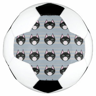 Chat noir, rayures