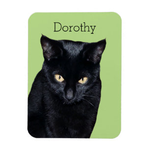 Chat noir Real Photo Cuisine Réfrigérateur Magnet