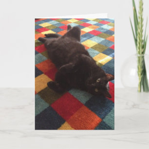 Chat noir sur la carte d'anniversaire du tapis