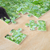 Chat noir sur un puzzle de journée de printemps (Côté)