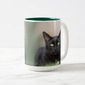 chat noir - tasse de café (Devant droit)