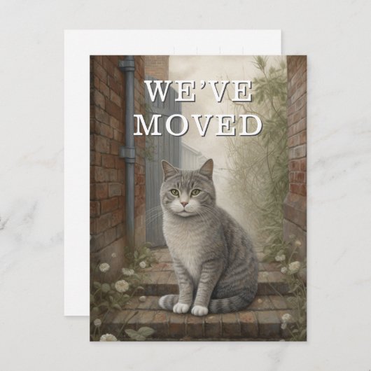 Chat Nous Avons Déménagé Faire-part En Mouvement (Devant / Derrière)
