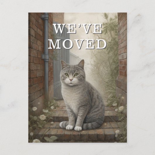 Chat Nous Avons Déménagé Faire-part En Mouvement (Devant)