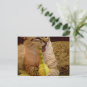Chat obtient dinosaure Carte postale (Debout devant)