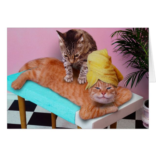 Chat orange bénéficiant d'un massage par un chat (Devant horizontal)