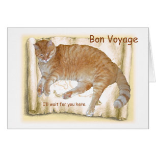 Chat orange de voyage de fève sur la carte